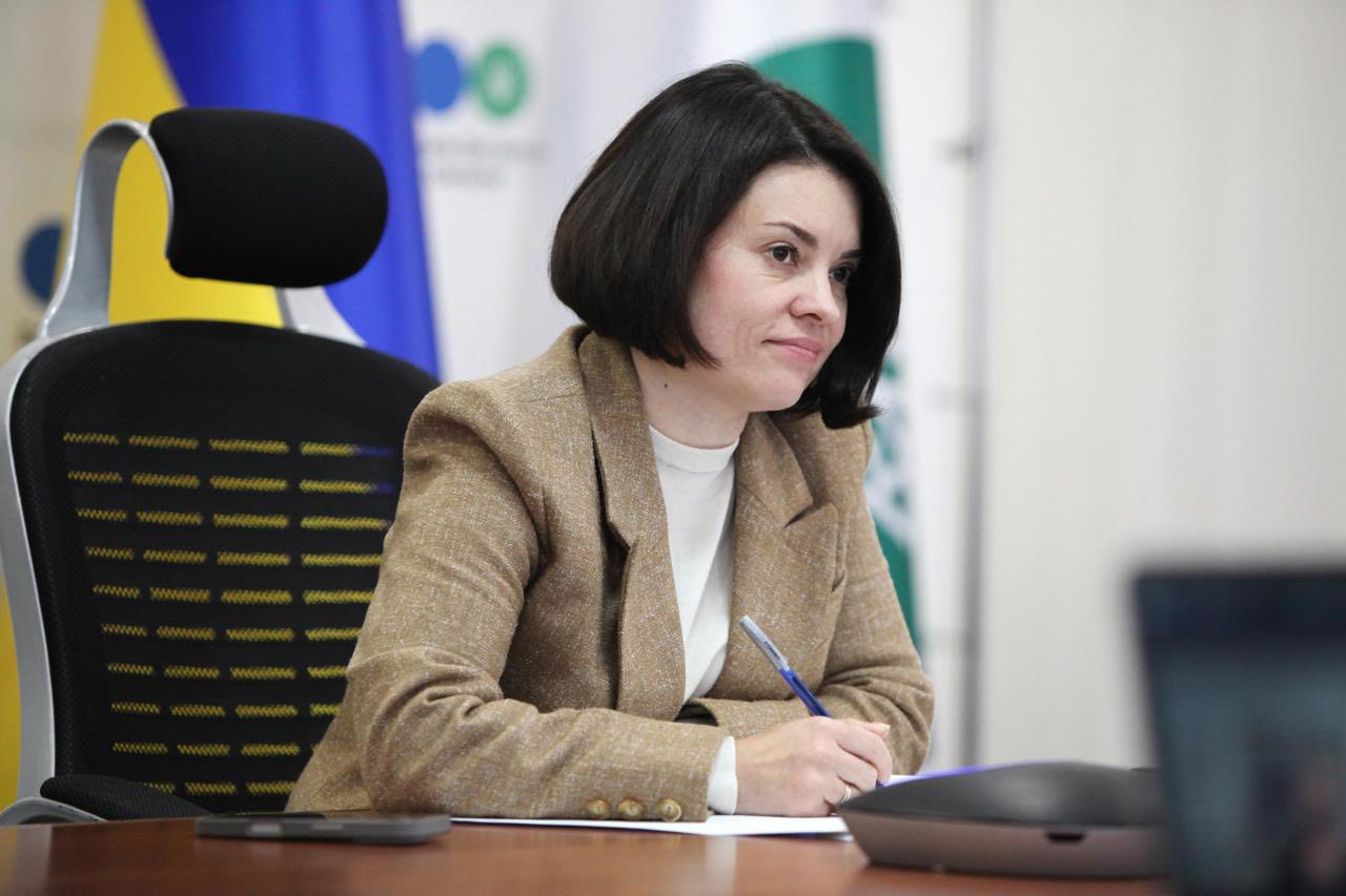 Леся Карнаух: Спільно з ОТД працюємо над новою архітектурою податкового адміністрування. Фото № 3/2