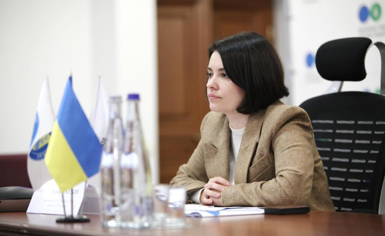 Lesya Karnaukh: together with Office of Technical Assistance we are working on the new tax administration architecture  . Фото № 4/3