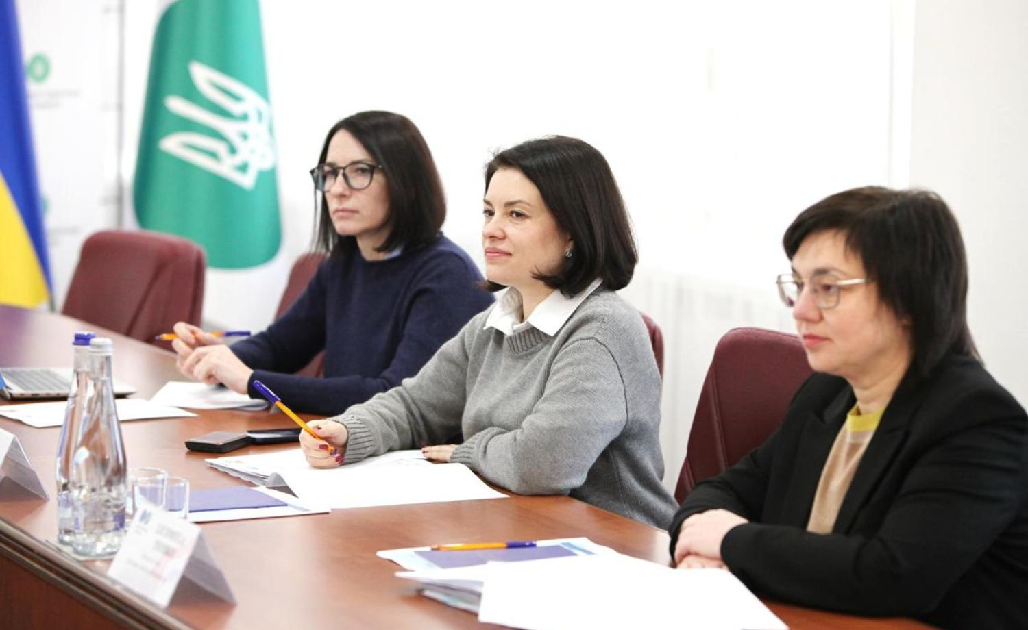 Digitalization and efficient administration: State Tax Service discussed plans with British partners. Фото № 4/3