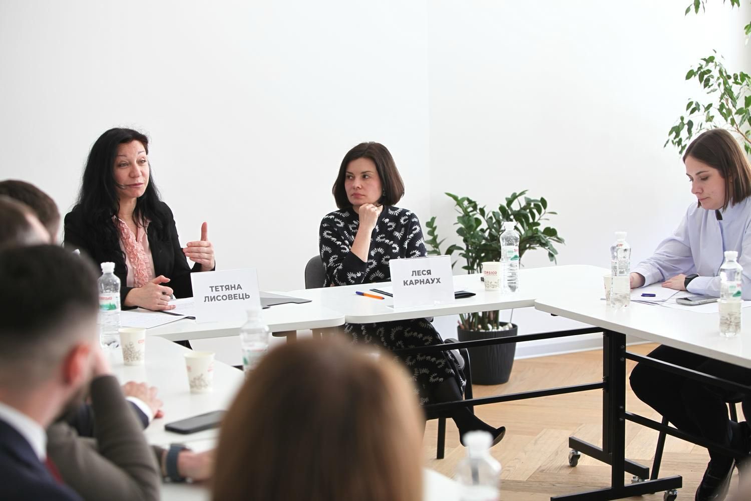 Tax mediation, enforcement of court decisions, cooperation with the law enforcement: Lesya Karnaukh’s meeting with the Ukrainian Bar Association. Фото № 4/3