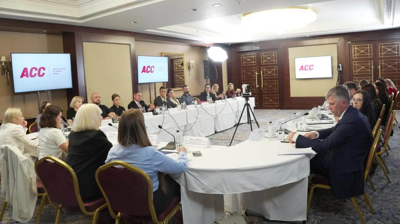 Підтримка постраждалого бізнесу: ключова тема зустрічі очільниці ДПС із ACC. Фото № 11/10