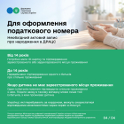 More than 417 thousand taxpayer e-Cards were issued by Ukrainians through the Diia. Фото № 3/2